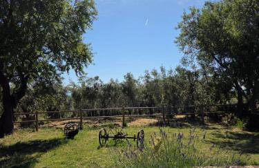 Da Nella Dimora di Campagna - Maison à Porter - Foto 67