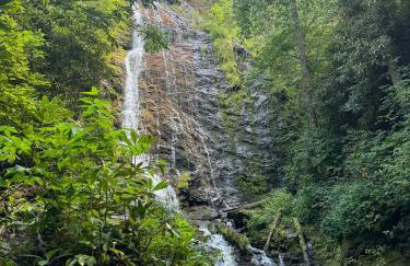 The Holler - Foto 55