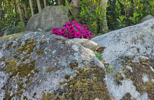 Casa dos arcos - Foto 80