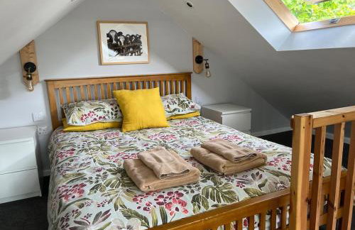 Little Tregue - Foto 9