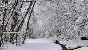 Apartaran 407 con terraza - Foto 2