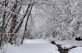 Apartaran 407 con terraza - Foto 2
