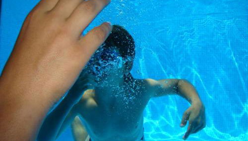 FlowerHouse - Foto 3