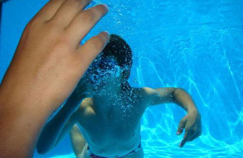 FlowerHouse - Foto 3