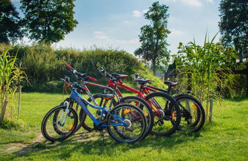 Oaza Mazurska - Domek z kominkiem - Foto 21