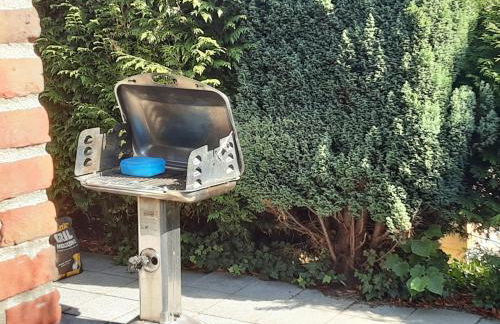 Oase im Grünen Pad1 - Photo 8