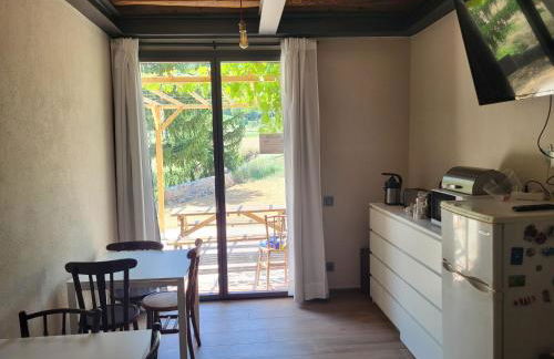 Ca n'Aliguer - Foto 29