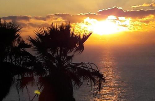 Casa Amadeus - Foto 30