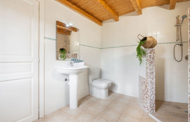 Eucalipto - Photo 23