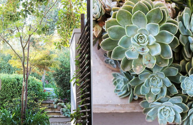 Arumvale Country House - Photo 57