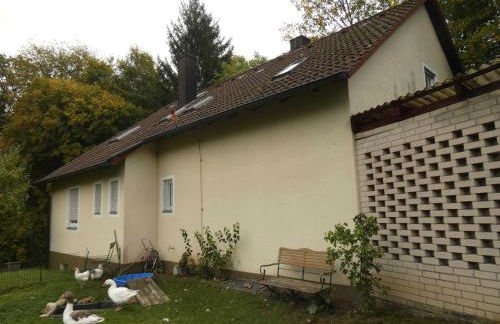 Goldener Fuchs in Moschendorf - Foto 4