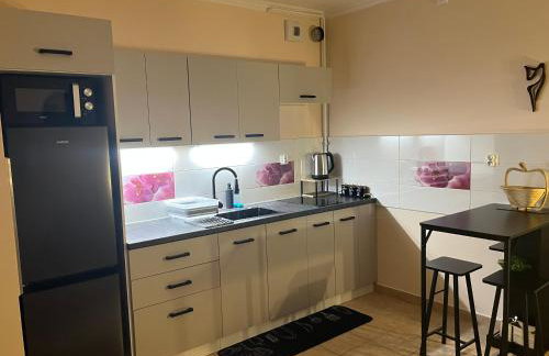 Apartament Wiktoria Zawiercie - Foto 6