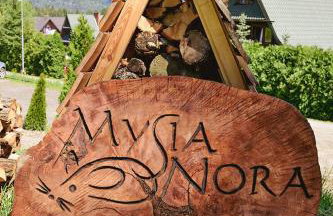 Mysia Nora - Photo 27