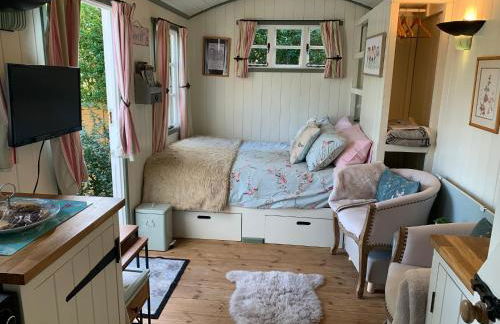 Thatched Cottage - Foto 21