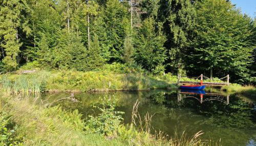 Apartament Buczyna - Foto 4