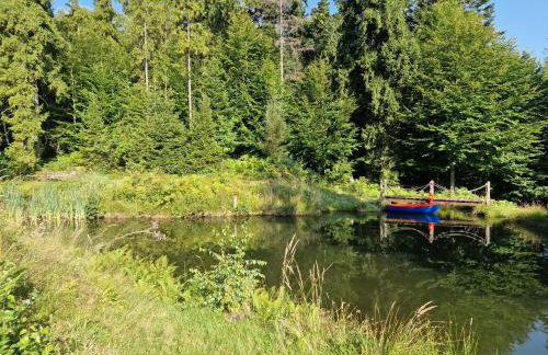 Apartament Buczyna - Foto 4