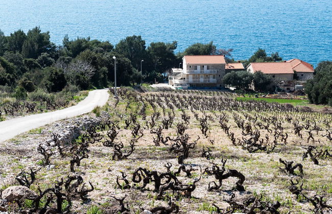 Apartments Villa Ana - Dingac - Photo 51