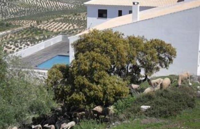 Los Castillarejos Apartamentos Rurales - Foto 52