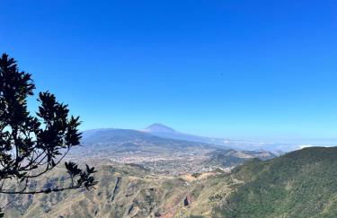 Apartamento Los Picachos, Poris de Abona - Foto 74