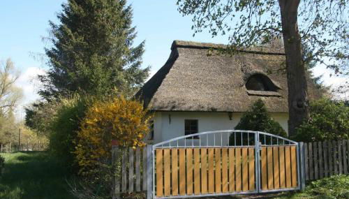 Reetdach Ferienhaus nahe Ostseebad Kühlungsborn - Foto 5