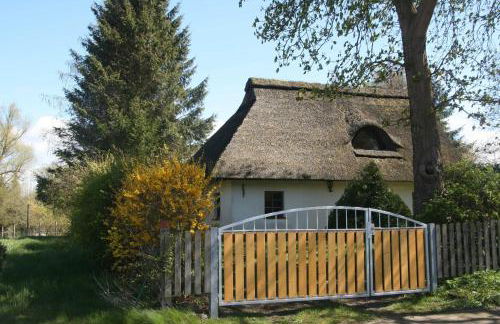 Reetdach Ferienhaus nahe Ostseebad Kühlungsborn - Foto 5