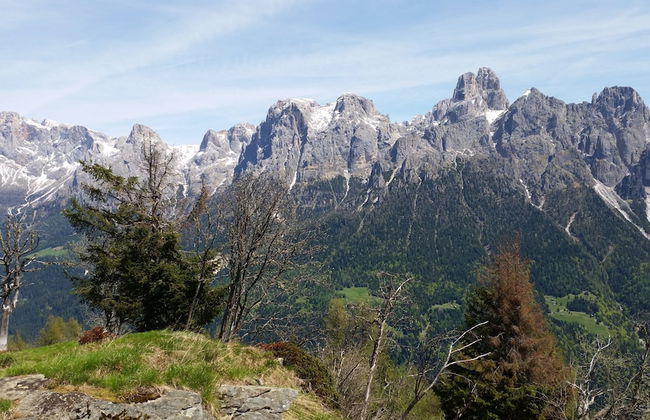 Chalet nel Doch - Foto 43