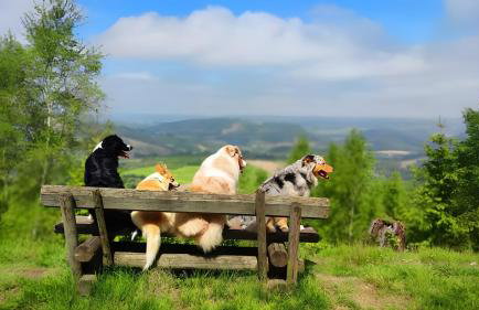 Ferienwohnungen Dorfliebe Dörnberg - Photo 52