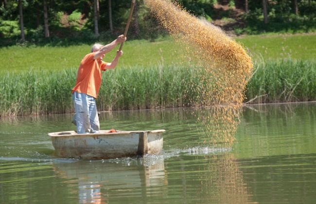 Gut Hornegg am Spiegelsee - Good Luise - Foto 13