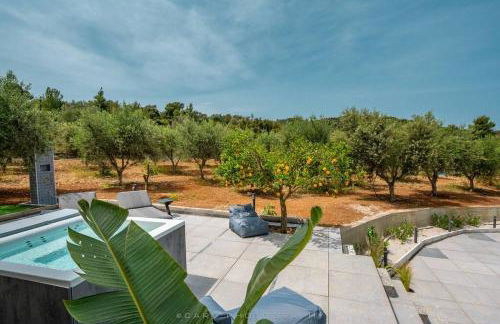 Orange Tree - Foto 34