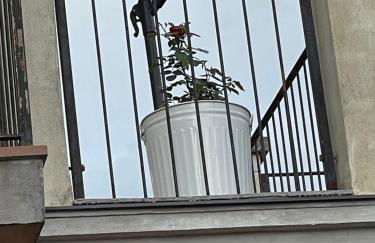 La casa di Noah - Foto 52