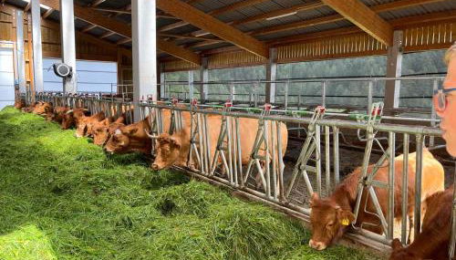 Ferienhof Rohrbachhof - Foto 5