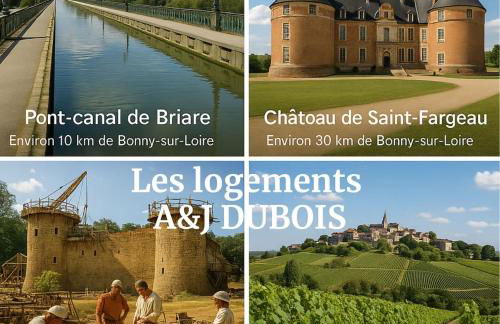 A&J COSY - Neuvy sur Loire - Guédelon - Foto 4