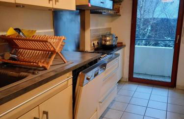 Entre Lac d'Annecy et montagnes, golf et parapente à pieds - Foto 7