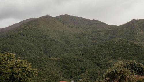 Stella's house - Foto 2