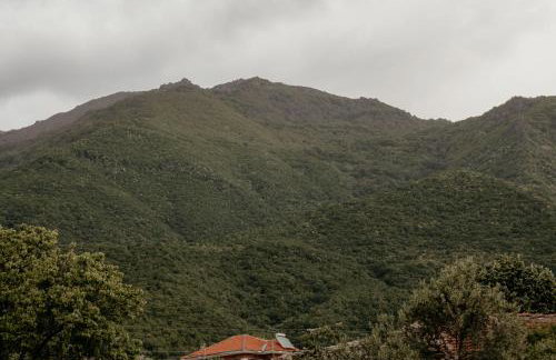 Stella's house - Foto 2