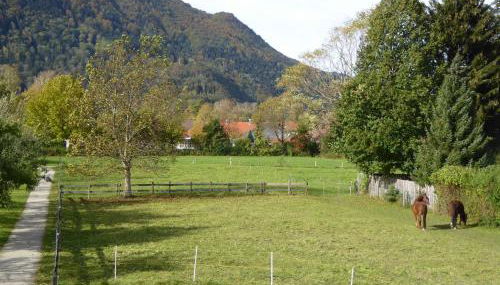 Ferienwohnung Schreiner-Viehhausen - Foto 3