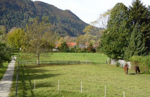 Ferienwohnung Schreiner-Viehhausen - Foto 3