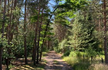 Bungalow im Wald - Foto 2