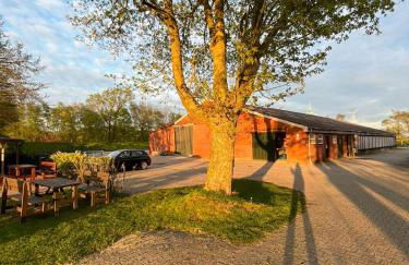 Ferienhof Ostarle - Foto 54