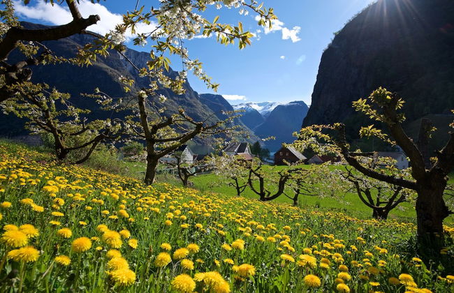 Visit Undredal - Foto 76