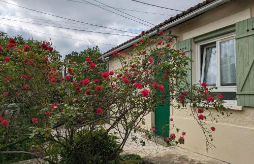 Petite maison proche l'aéroport Charles de Gaules, parc Astérix et Stade de France - Foto 2