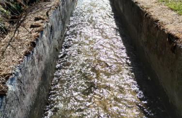 Casa per vacanze degli gnomi - Foto 41