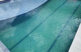 Casa de Chã - Foto 27