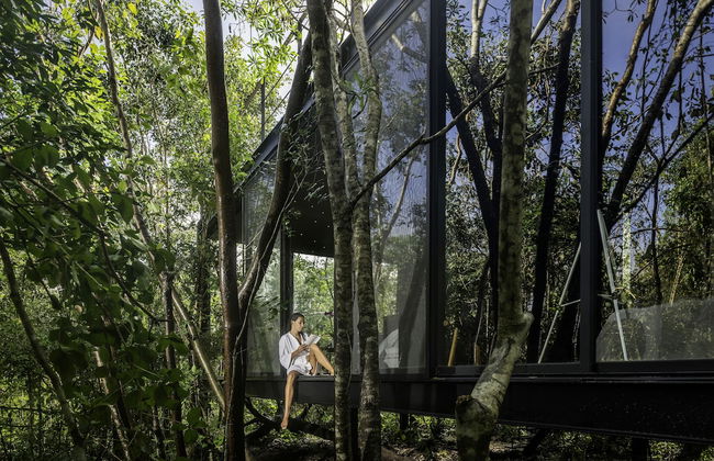 Glass 20.87 - Photo 1