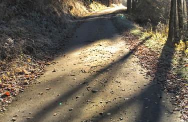 Zum Pinken Schaf - Photo 33