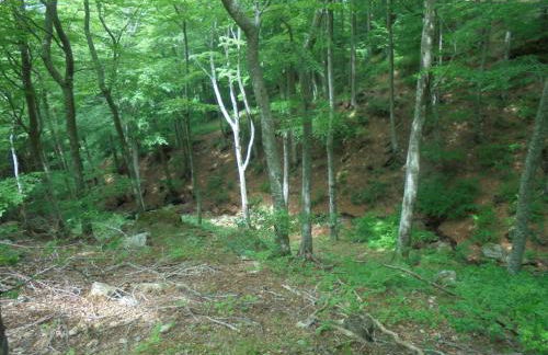 Villa El Còrrec - Photo 24