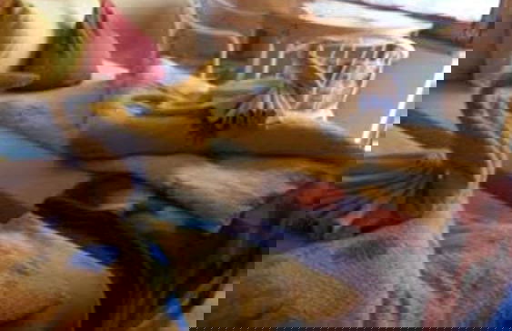 Toldi Apartman - Foto 10