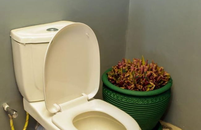 Amboseli Amanya Lodge - Foto 12