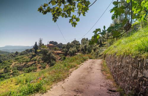 Iris Cretan Mountain Escape - Photo 22