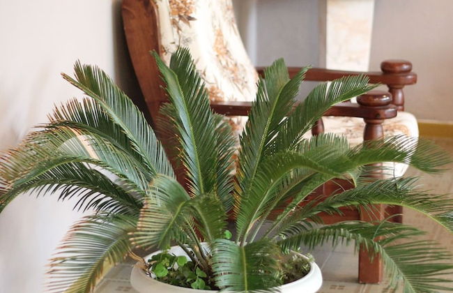 Hotel Sara - 2 Guests Room - n 13 - Foto 14